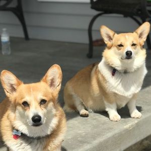 Meet your Posher, Bobbi